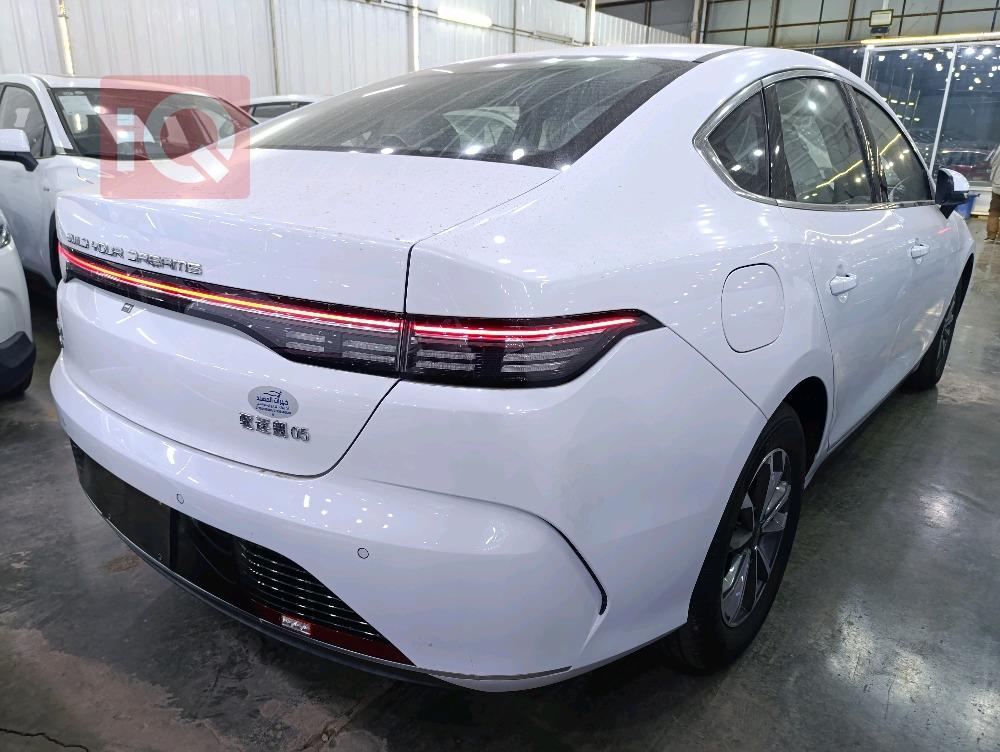 بي واي دي ديستروير 05